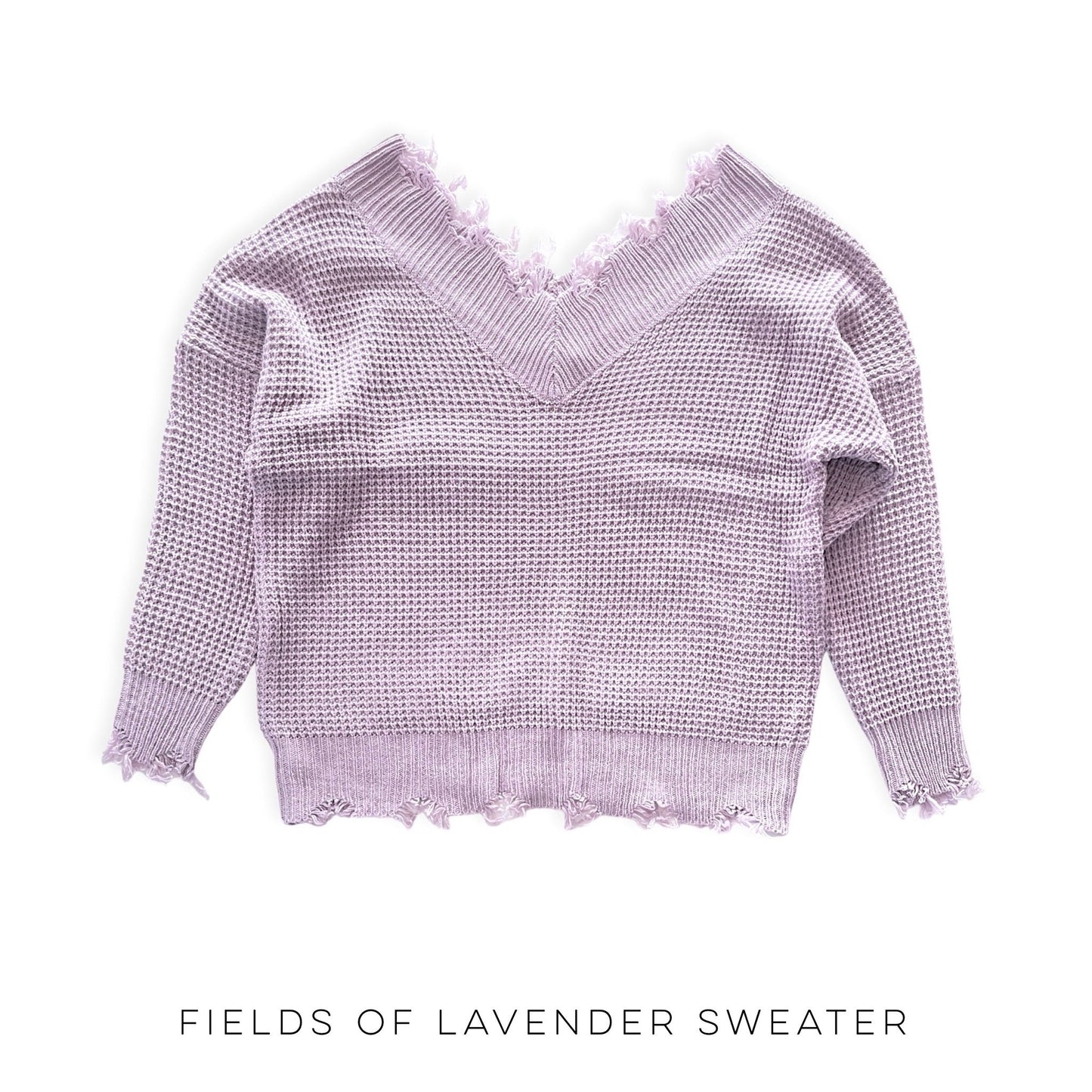 Fields of Lavender Sweater