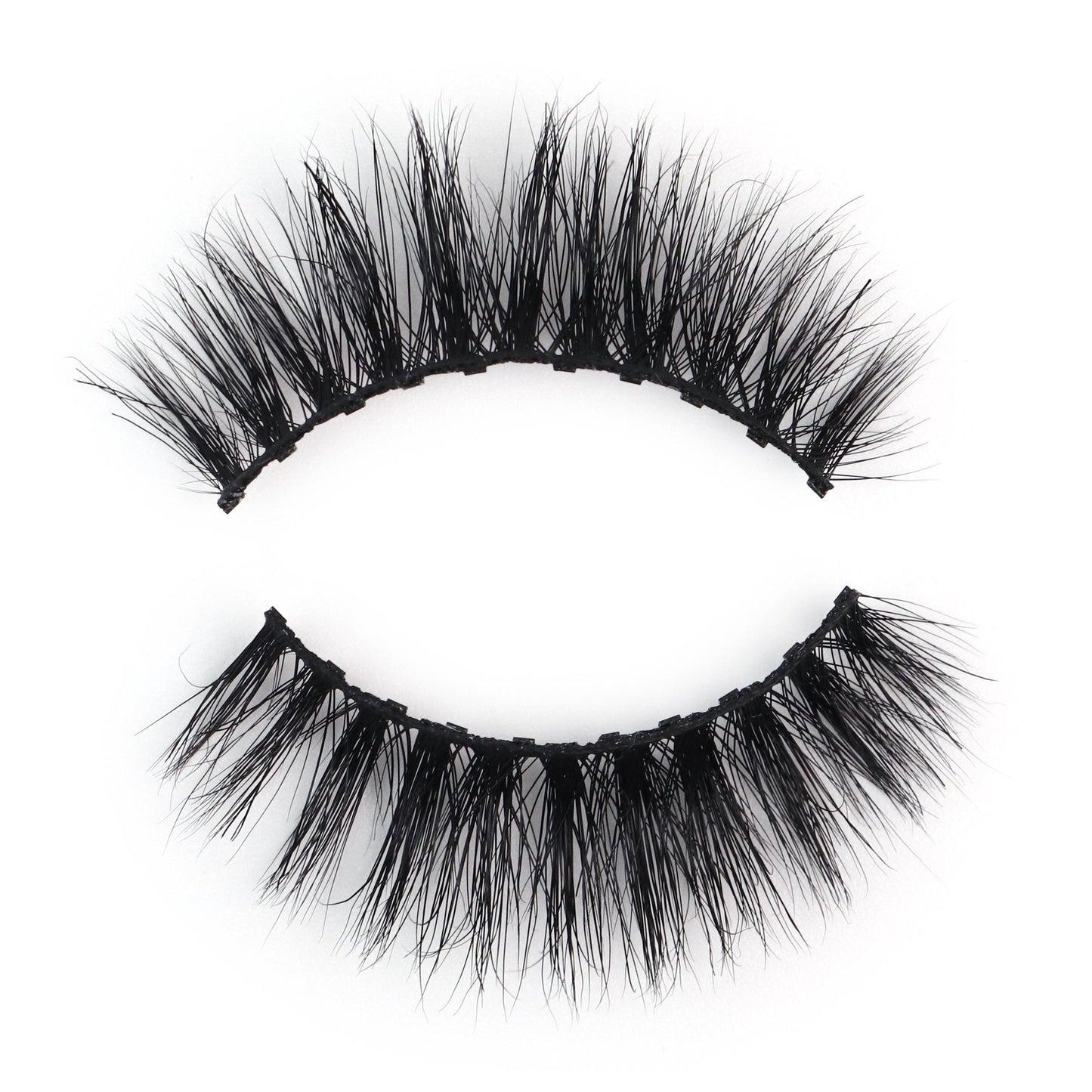 Day Lash EveryLash Magnetic Lashes