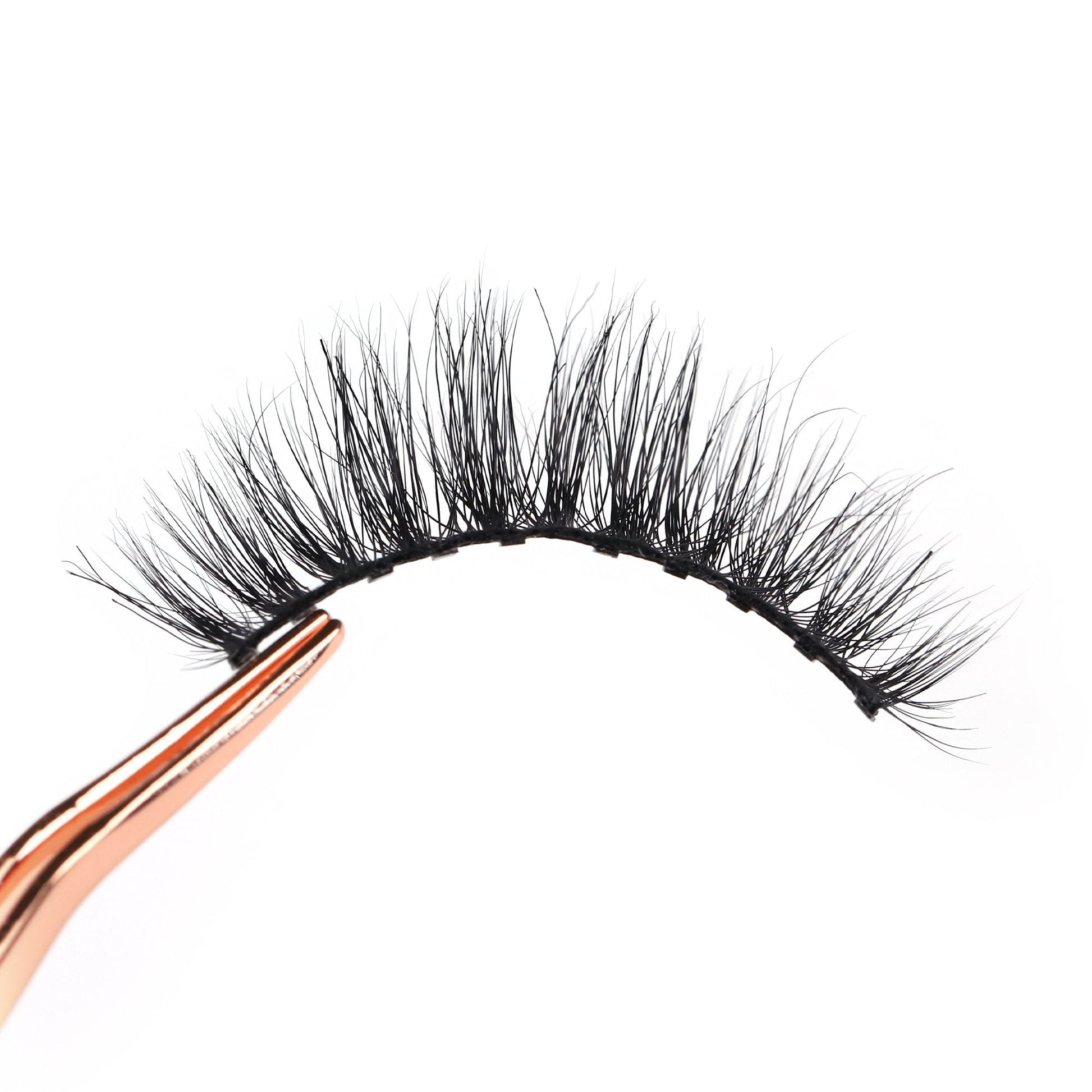 Day Lash EveryLash Magnetic Lashes